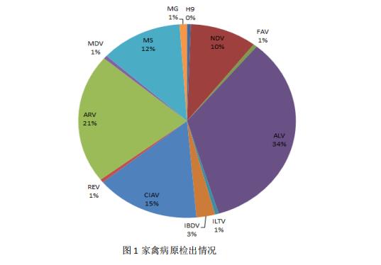 家禽病原检出情形