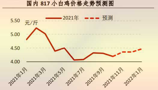 817小白鸡价钱走势