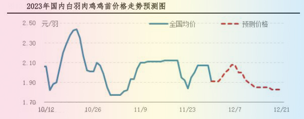 肉鸡市场行情汇总