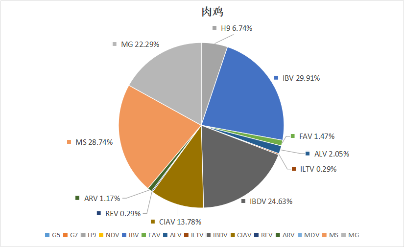 2023年11月白羽肉鸡疫病检测剖析报告