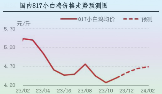 11月肉鸡市场行情剖析及12月行情展望