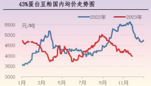 11月肉鸡市场行情剖析及12月行情展望