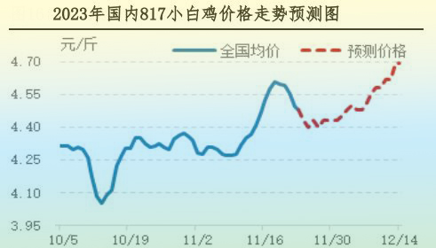 肉鸡市场行情汇总