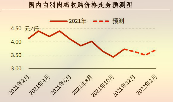 海内白羽肉鸡收购价钱走势展望图