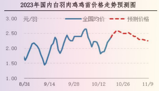 肉鸡市场行情汇总