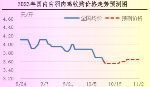 肉鸡市场行情汇总