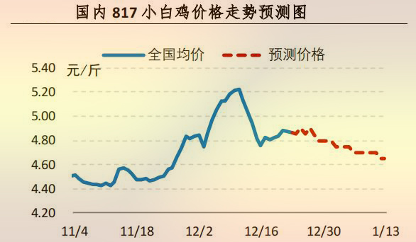 817小白鸡