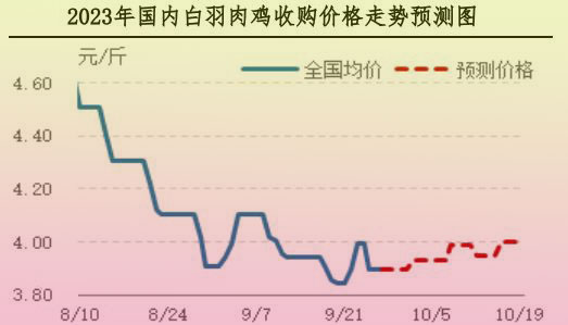 肉鸡市场行情汇总