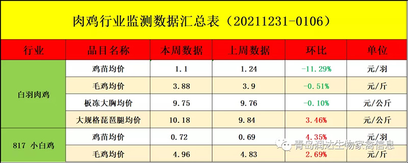 白羽肉鸡鸡苗均价