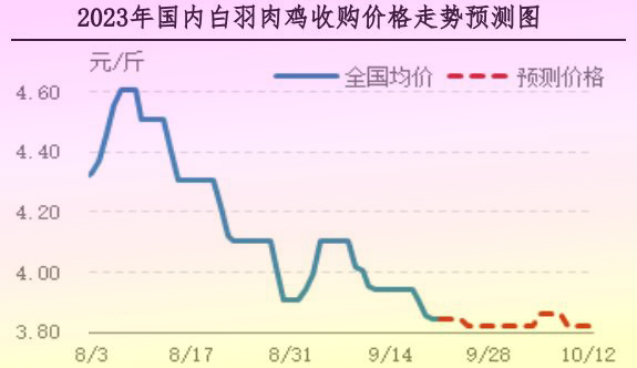 肉鸡市场行情汇总