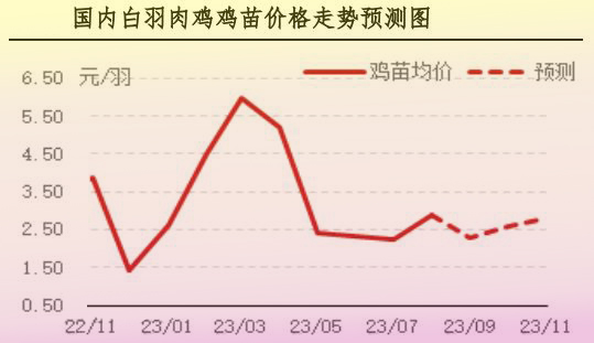 8月肉鸡市场行情剖析及9月行情展望