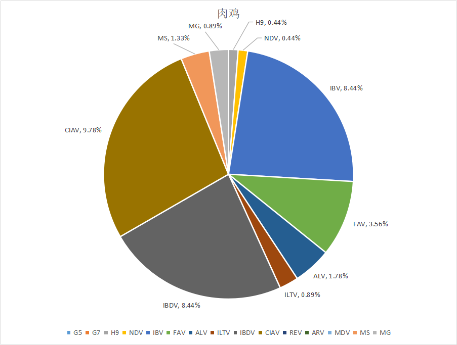 怎样应对目今的变异型法氏囊炎？