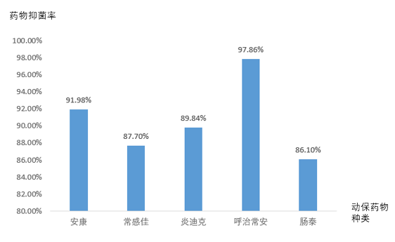  动保药物药敏效果