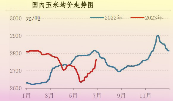 6月肉鸡市场行情剖析及后市行情展望