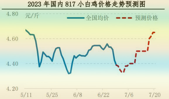 肉鸡市场行情汇总