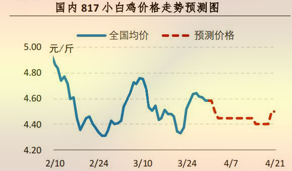 817小白鸡