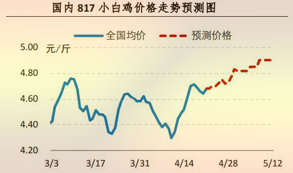 817小白鸡