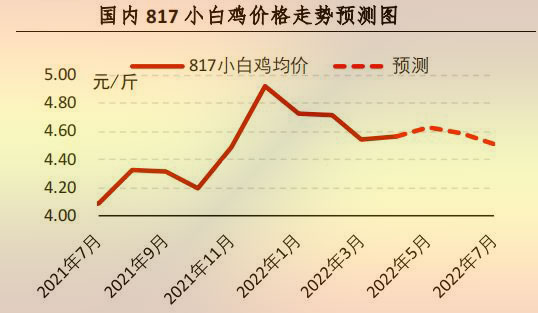 817小白鸡