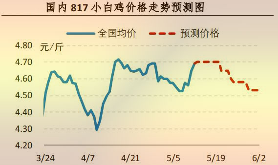 817小白鸡