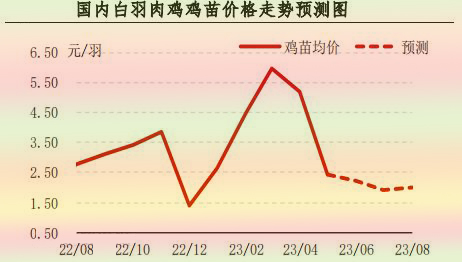 5月肉鸡市场行情剖析及6月展望