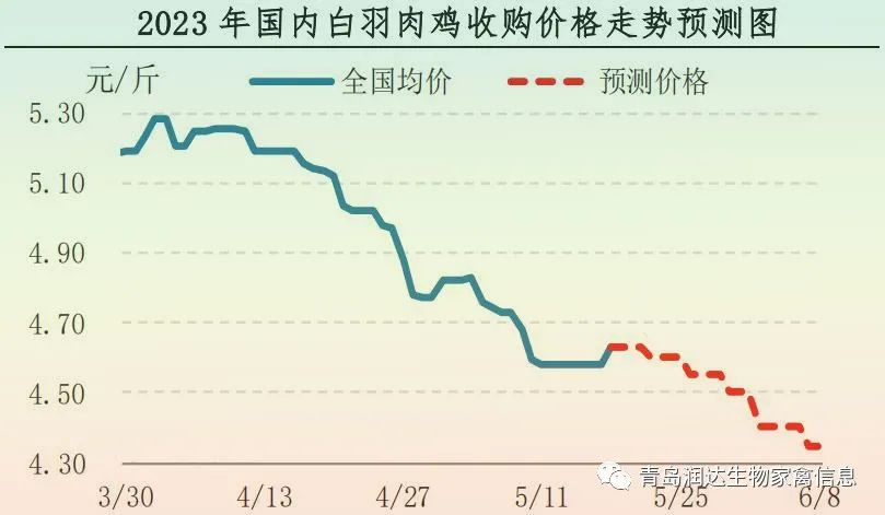 肉鸡市场行情汇总