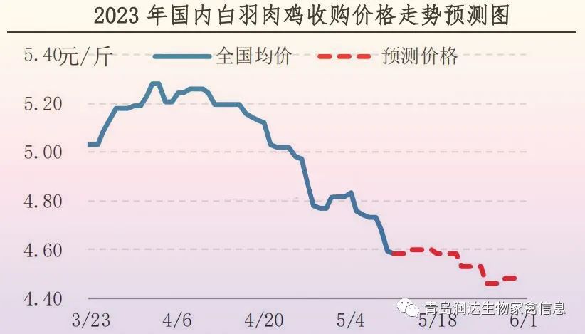 肉鸡市场行情汇总