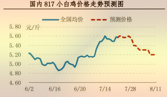 817小白鸡