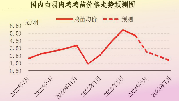 4月肉鸡市场行情剖析及5月展望