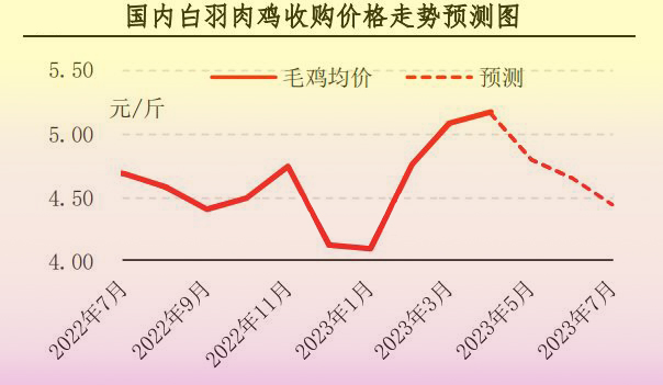 4月肉鸡市场行情剖析及5月展望