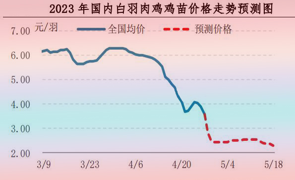 肉鸡市场行情汇总