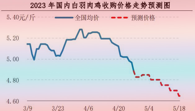 肉鸡市场行情汇总