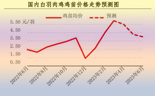 3月肉鸡市场行情剖析及4月展望