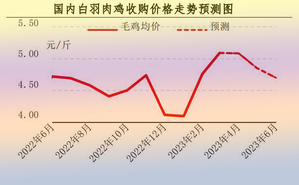 3月肉鸡市场行情剖析及4月展望