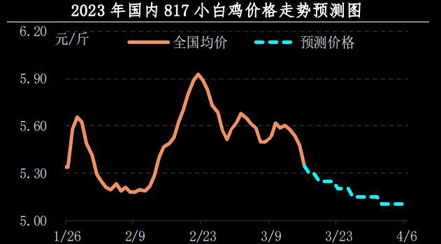 肉鸡市场行情汇总