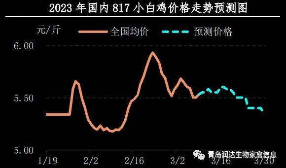 肉鸡市场行情汇总