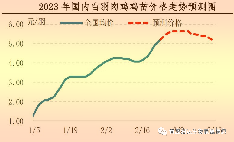 肉鸡市场行情汇总