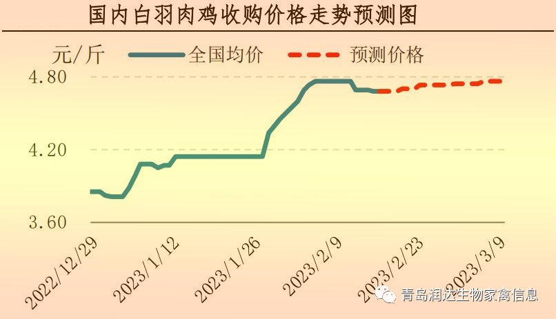 肉鸡市场行情汇总