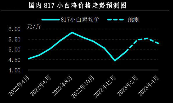 1月肉鸡市场行情剖析及2月展望