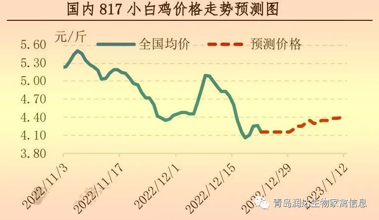 肉鸡市场行情汇总