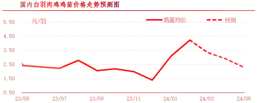 2月肉鸡市场行情剖析及3月行情展望