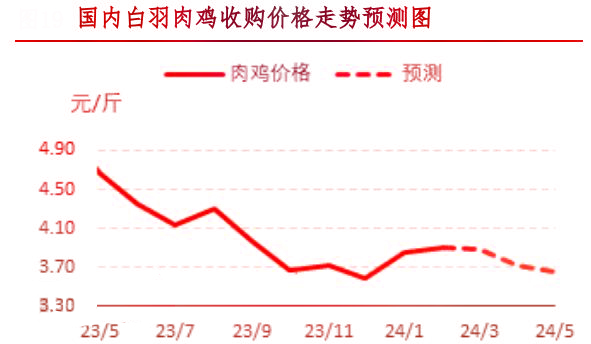 2月肉鸡市场行情剖析及3月行情展望