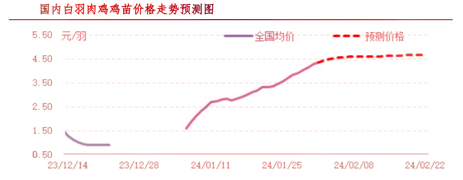 肉鸡市场行情汇总