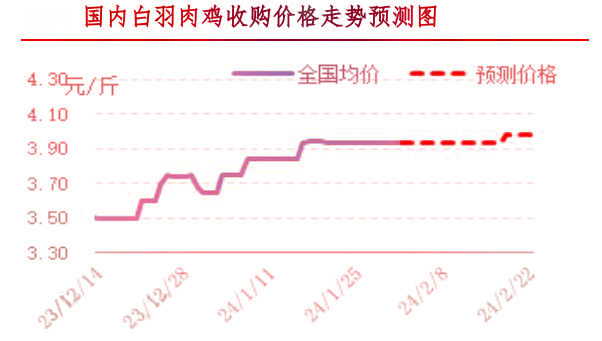 肉鸡市场行情汇总