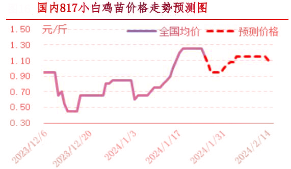 肉鸡市场行情汇总