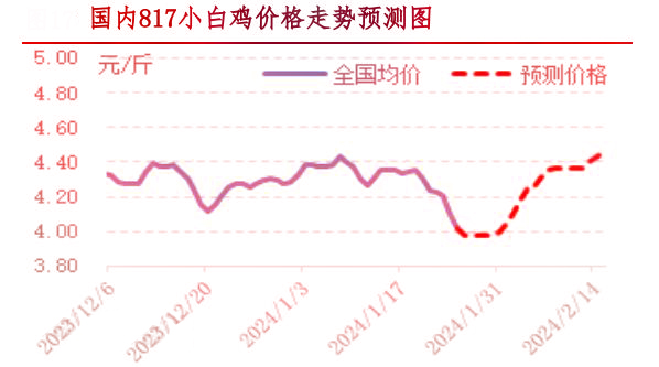 肉鸡市场行情汇总