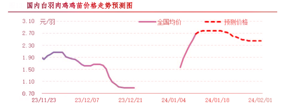 肉鸡市场行情汇总