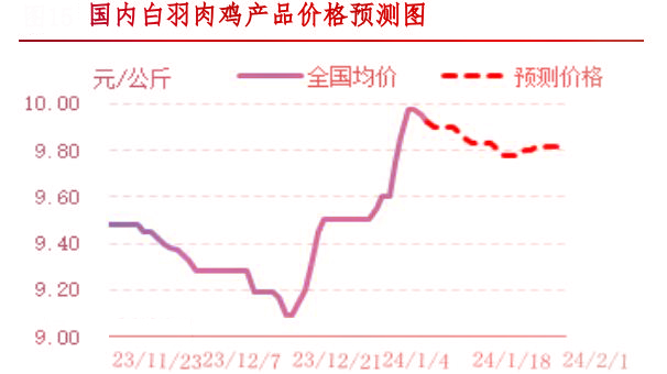 肉鸡市场行情汇总