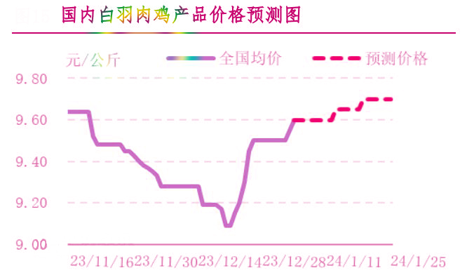 肉鸡市场行情汇总