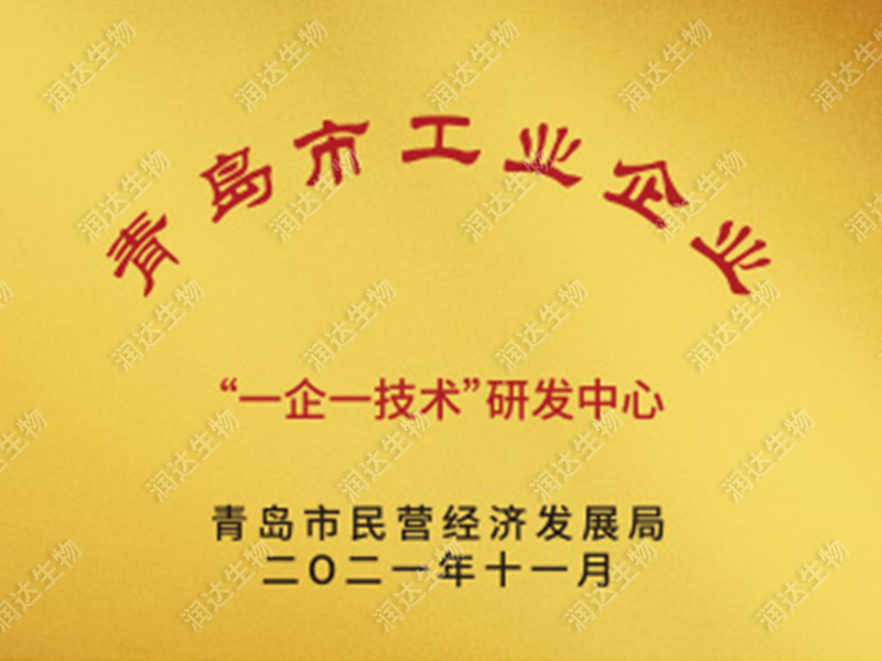 一企一手艺研发中心